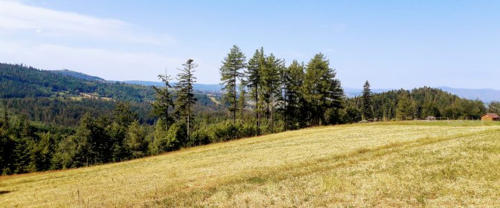 Magiczna Pietraszonka – Beskid Śląski